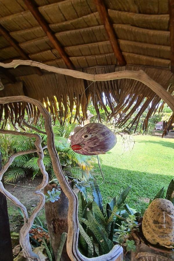 La Maison D'Artiste Du Bord De Mer Pa'ea エクステリア 写真